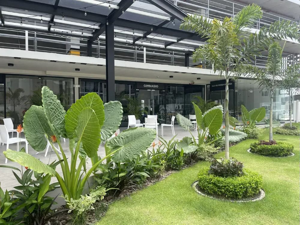 Desarrollo inmobiliario Panamá Viejo 5