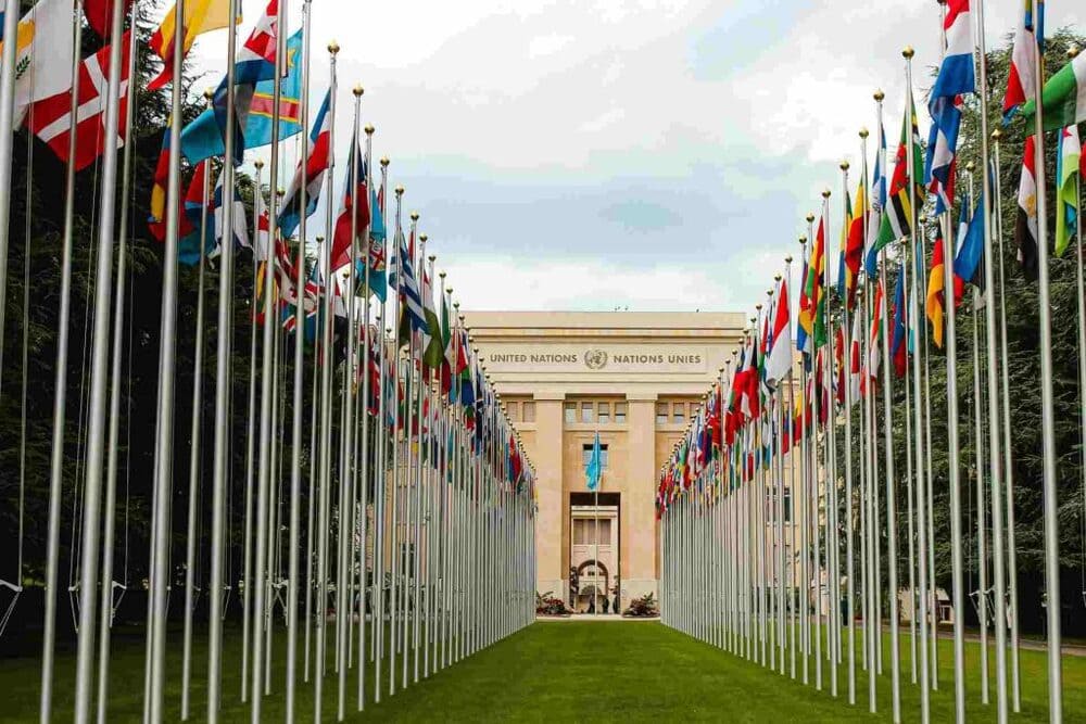 How to Get a Job at the UN, According to Loreto Ferrer Moreu