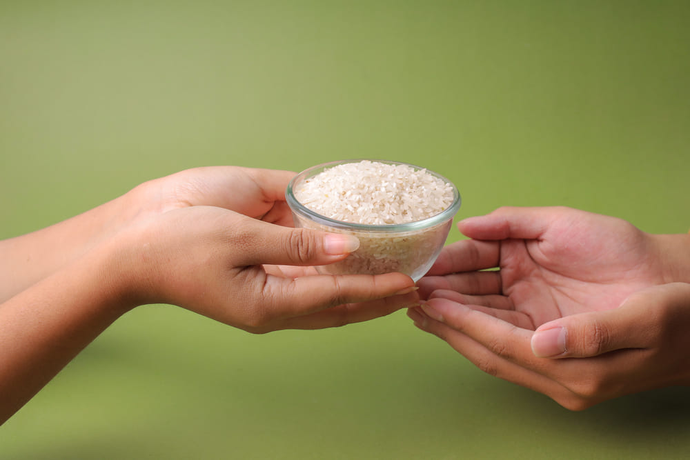 Alimentación infantil y arroz blanco