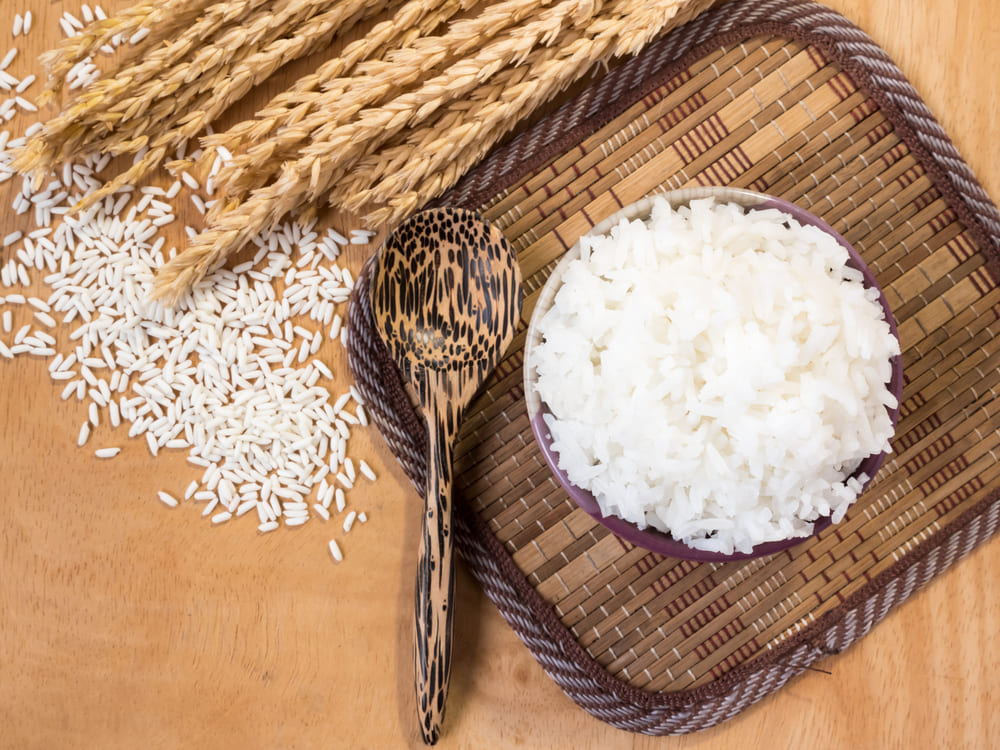 Arroz y proteínas vegetales