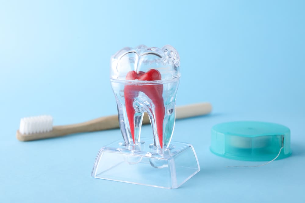Endodoncia: cuándo puede ser la mejor opción para un diente en Panamá