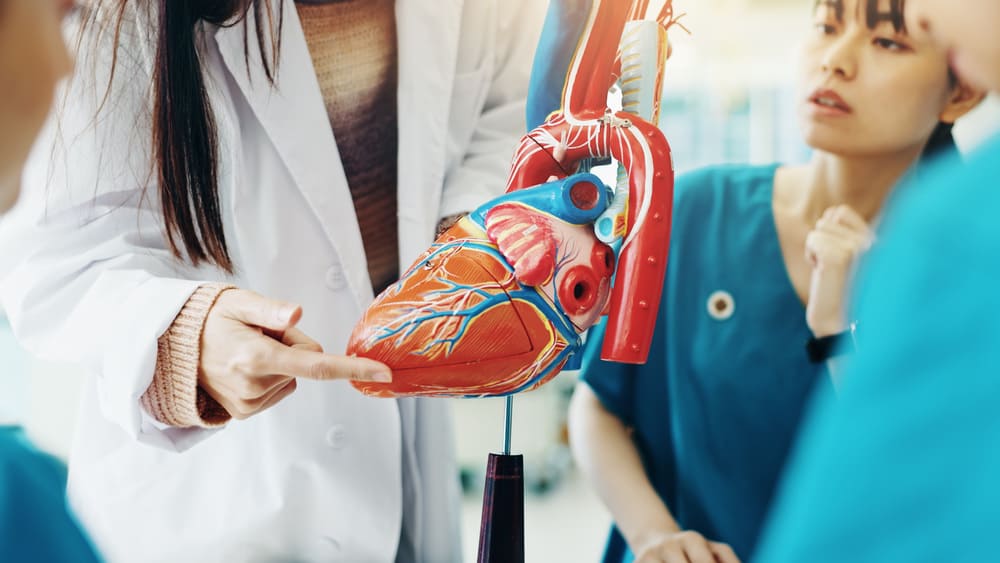 Evaluaciones médicas en Guatemala para la prevención de enfermedades cardiovasculares