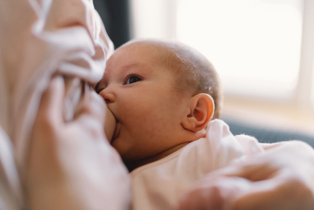 Curso online para madres que buscan información sobre lactancia materna