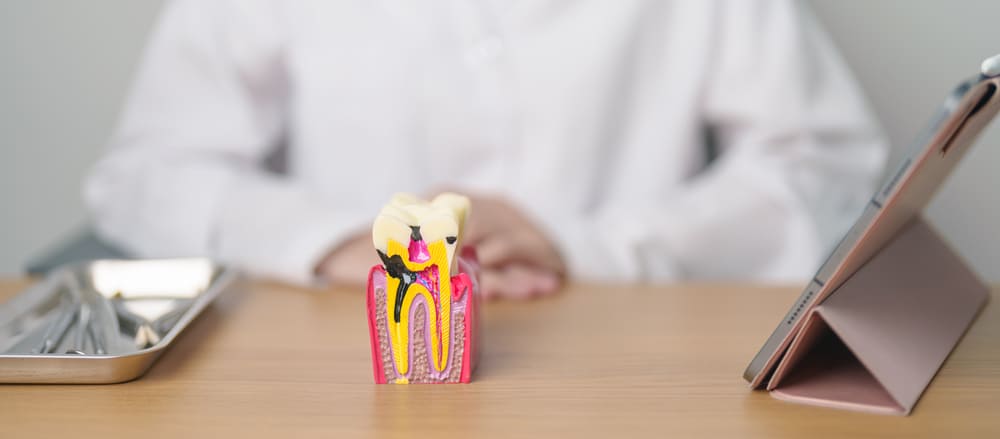 Periodoncia en Panamá: qué esperar en una consulta especializada